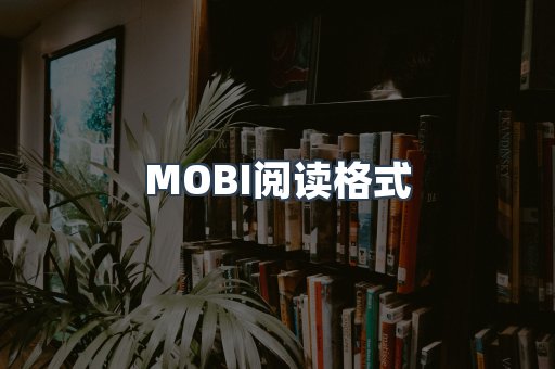 MOBI阅读格式